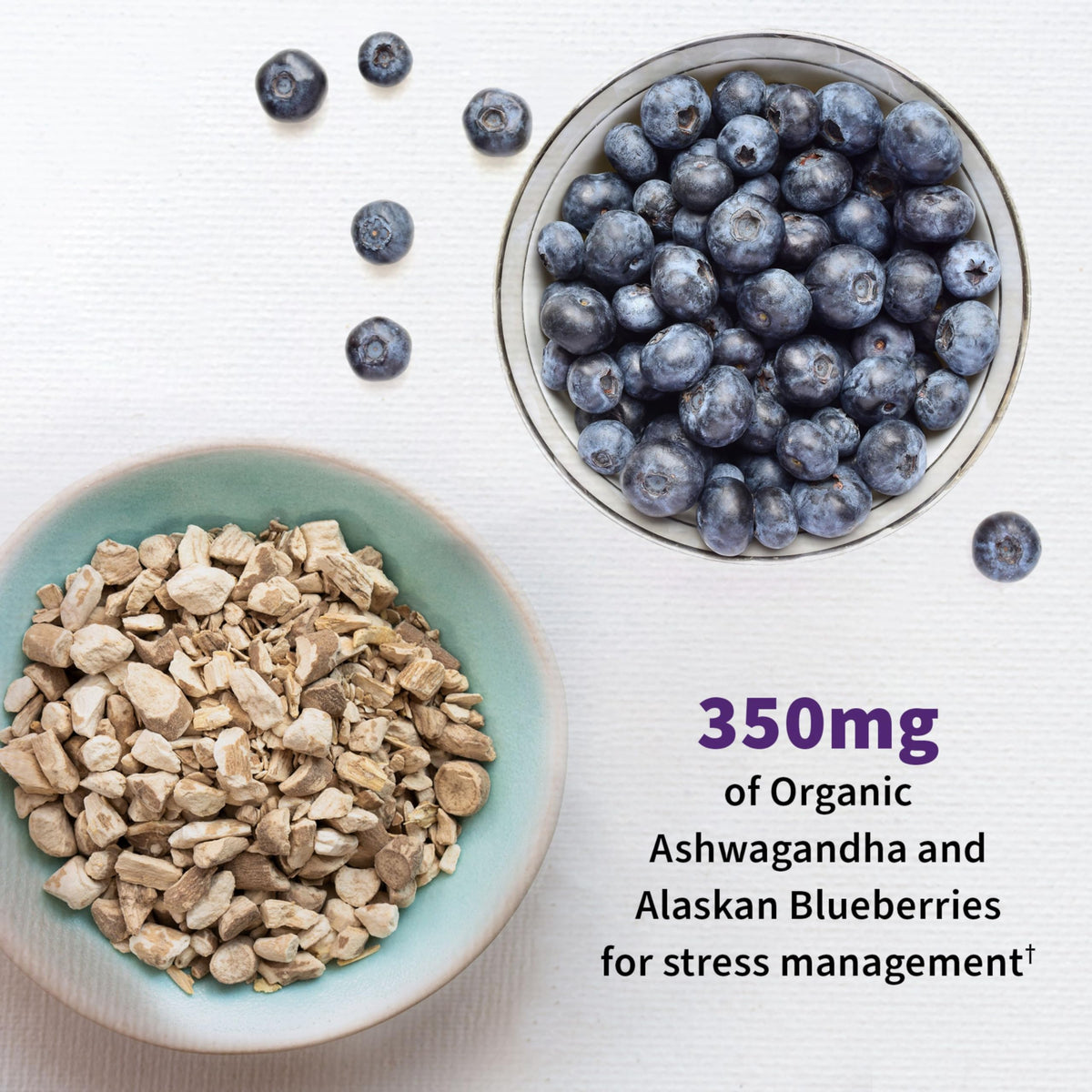 Garden of Life Dr. Formulated Mood+ Probiotics