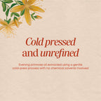 Nature's Way EfaGold Evening Primrose Oil, 1300mg