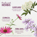 WishGarden Herbs Kick-Ass Immune Echinacea & Goldenseal Tincture - 4 Fl Oz - image 4