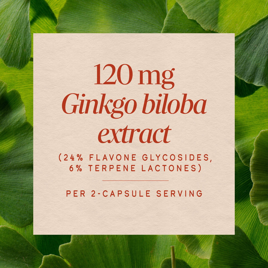 Nature's Way Premium Standardized Ginkgo