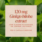 Nature's Way Premium Standardized Ginkgo