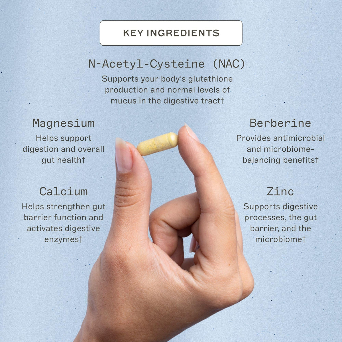 Amy Myers MD Microb-Clear Gut Health Support - 120 Capsules - image 3