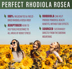 Perfect Supplements Rhodiola Rosea - 60 Vegetarian Capsules - image 4