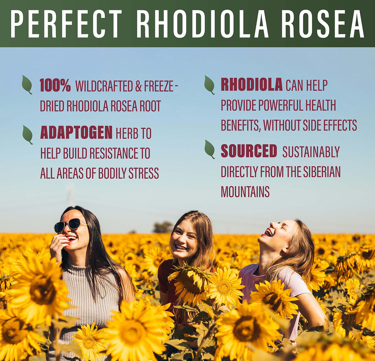 Perfect Supplements Rhodiola Rosea for Focus, Energy & Stress Relief - image 3
