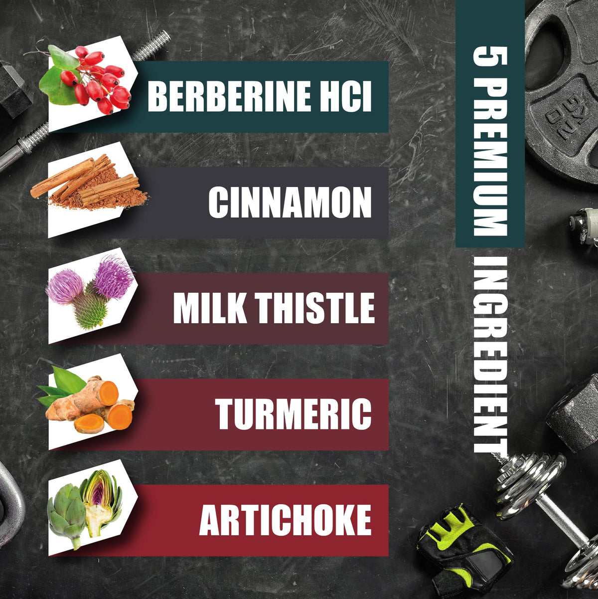 BMVINVOL Berberine HCl with Ceylon Cinnamon & Turmeric - 90 Capsules - image 3