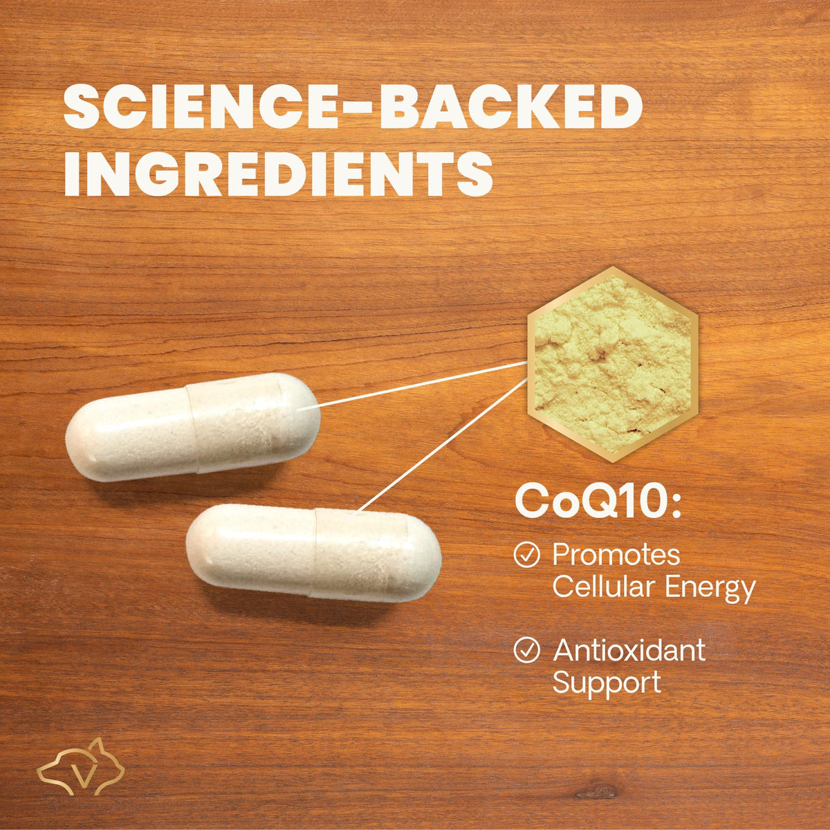 VetriScience CoQ10 Healthy Heart Capsules for Dogs and Cats - 100 Count - image 4