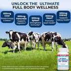 Ultimate Grass Fed Beef Organs Supplement - 180 Capsules - image 3