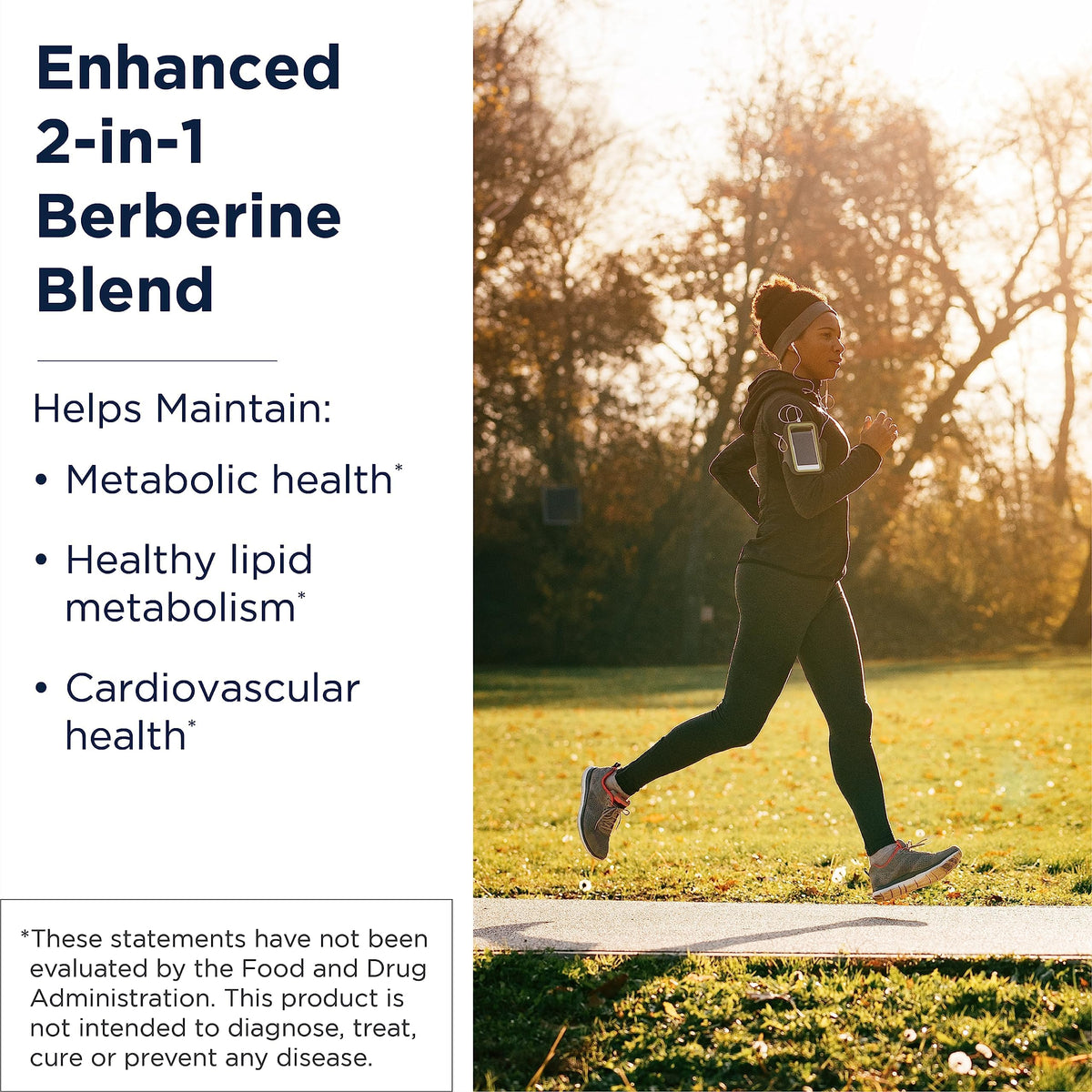 Designs for Health Berberine Synergy 400mg + ALA - 60 Capsules - image 2
