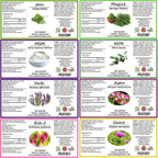 Hekma Center MS Supplement Package with 18 Herbs - 1 Count - image 2