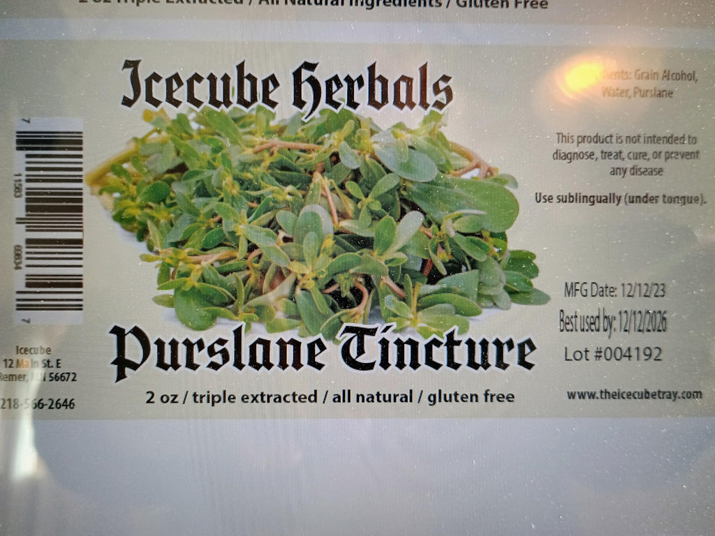Icecube's Chaga Triple Extracted Purslane Tincture - 2 Fl Oz