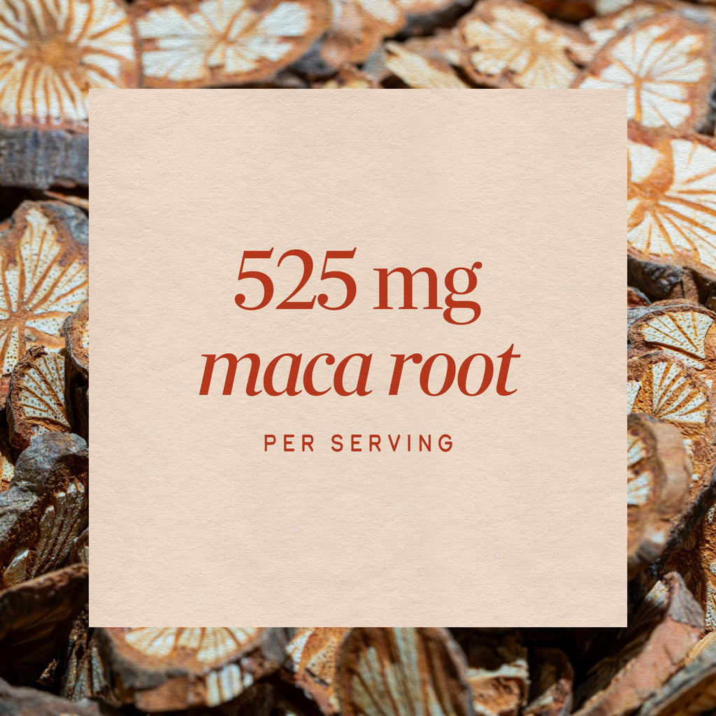 Nature's Way Maca Root Capsules for Libido Support - 100 Count - image 4