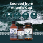 ARMORICA Fermented Cod Liver Oil - 120 Softgels - image 9