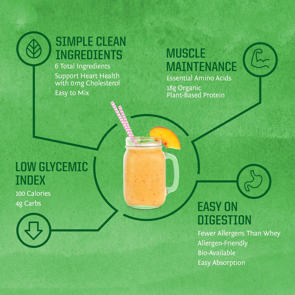 Sunwarrior SUNWARRIOR Organic Protein