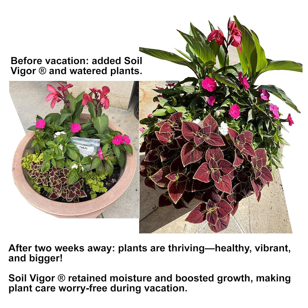 Soil Vigor Water Storing Crystals Soil Amendment - 20 LB - image 6