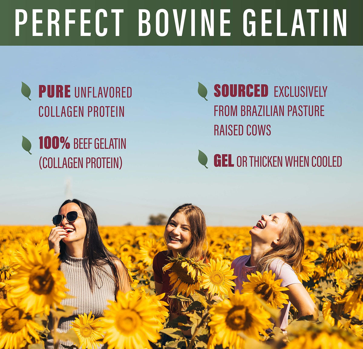 Perfect Supplements Bovine Gelatin Grass Fed Beef Powder - 60 Servings - image 5