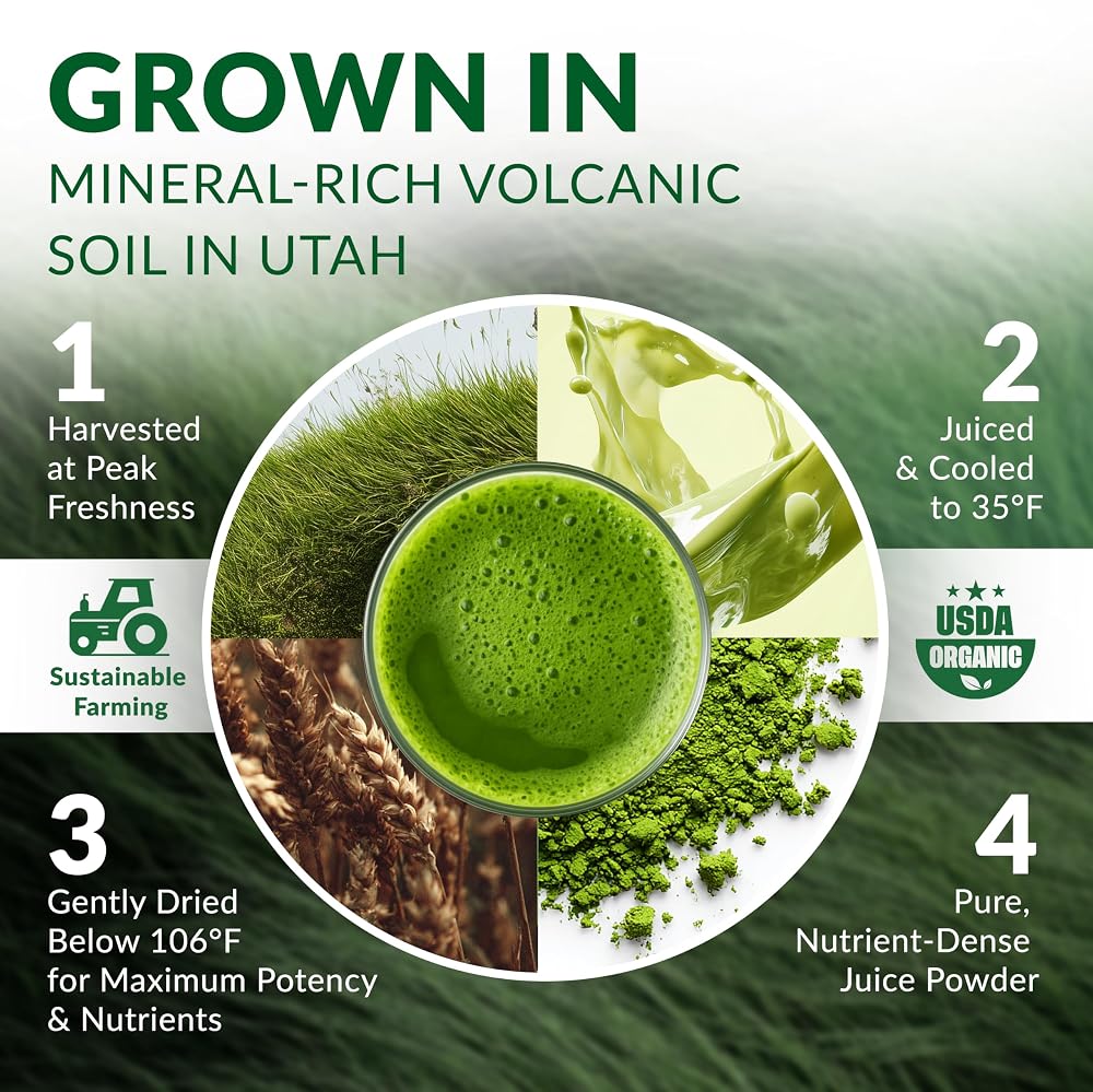 Nautical Elements Wheat Grass Juice Powder Organic - 72 Servings - image 5