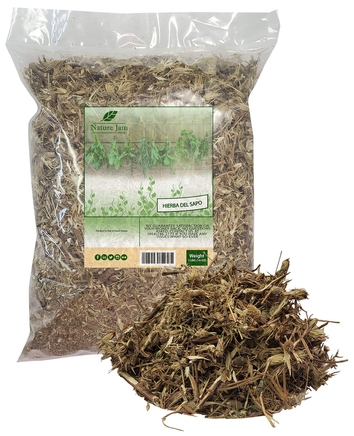 Naturejam Hierba Del Sapo Mexican Thistle Herbal Tea - 1 Pound