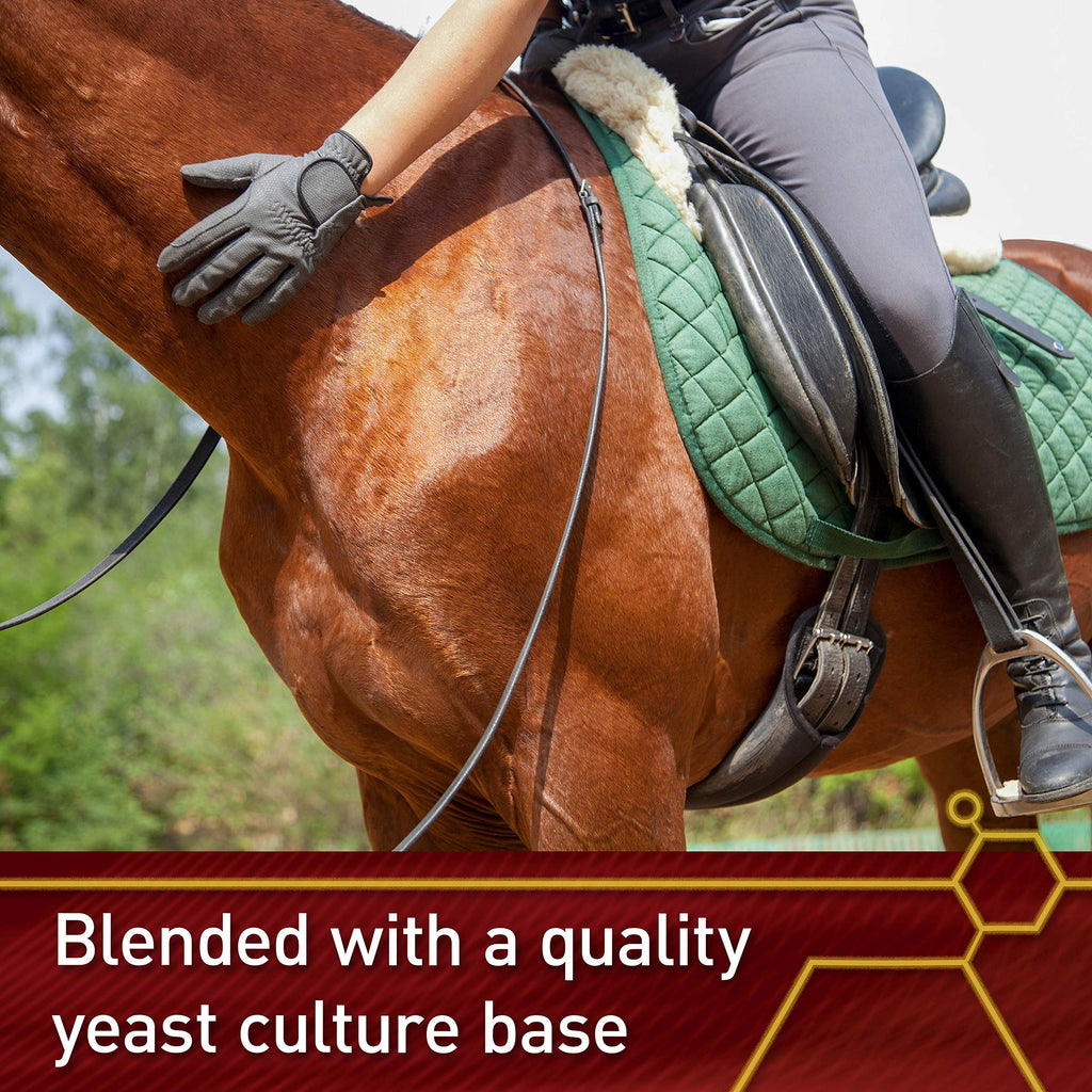 Vita Flex Pro E & Selenium Supplement for Horses - 320-Day Supply - image 6