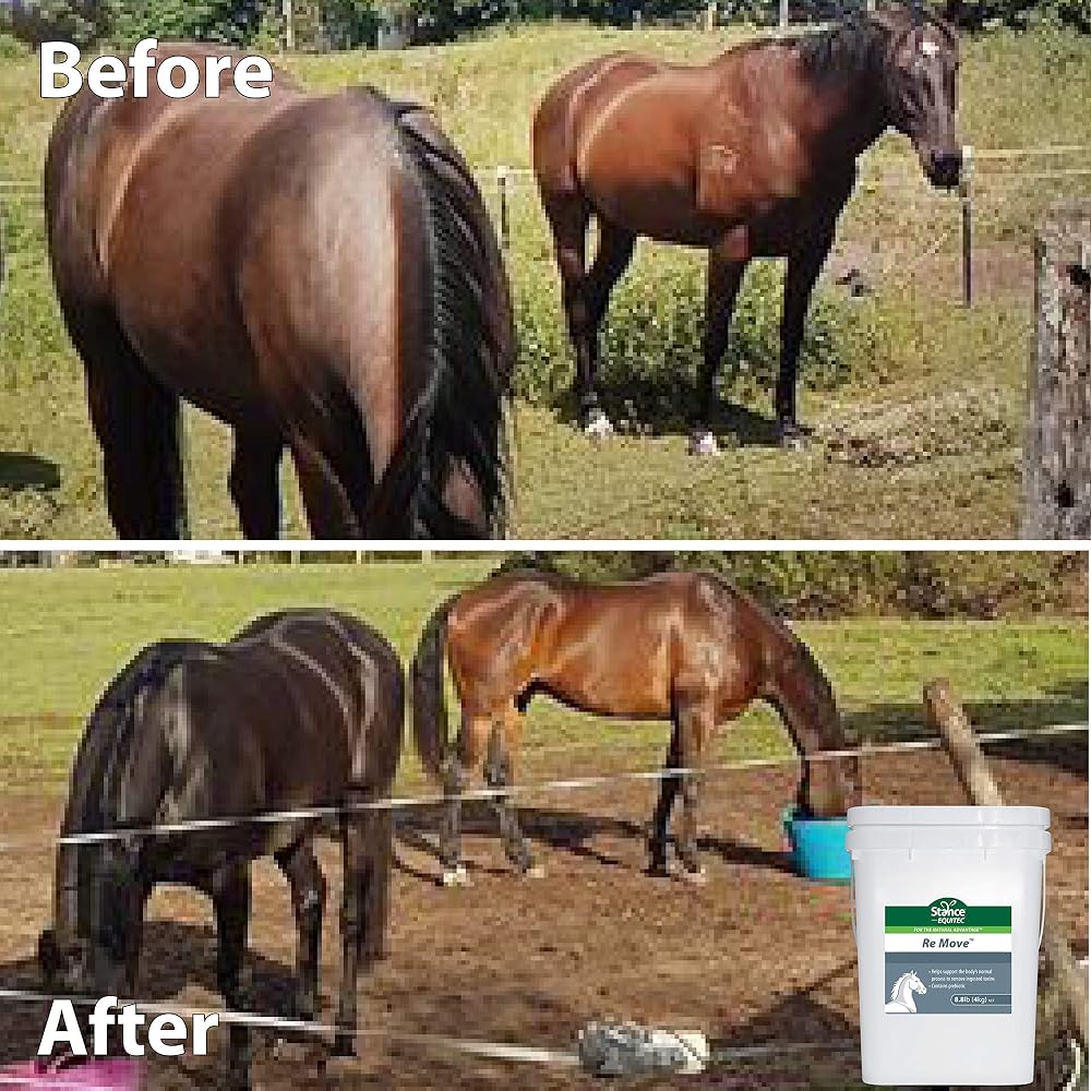 Stance Equitec Re Move Horse Supplement - 1.5 lb - image 8
