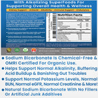 Kidney Restore Sodium Bicarbonate Alkaline Powder - 16 oz - image 2