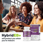 Hybrid Sambucus Elderberry Immune Support - 60 Vegetarian Capsules - image 8