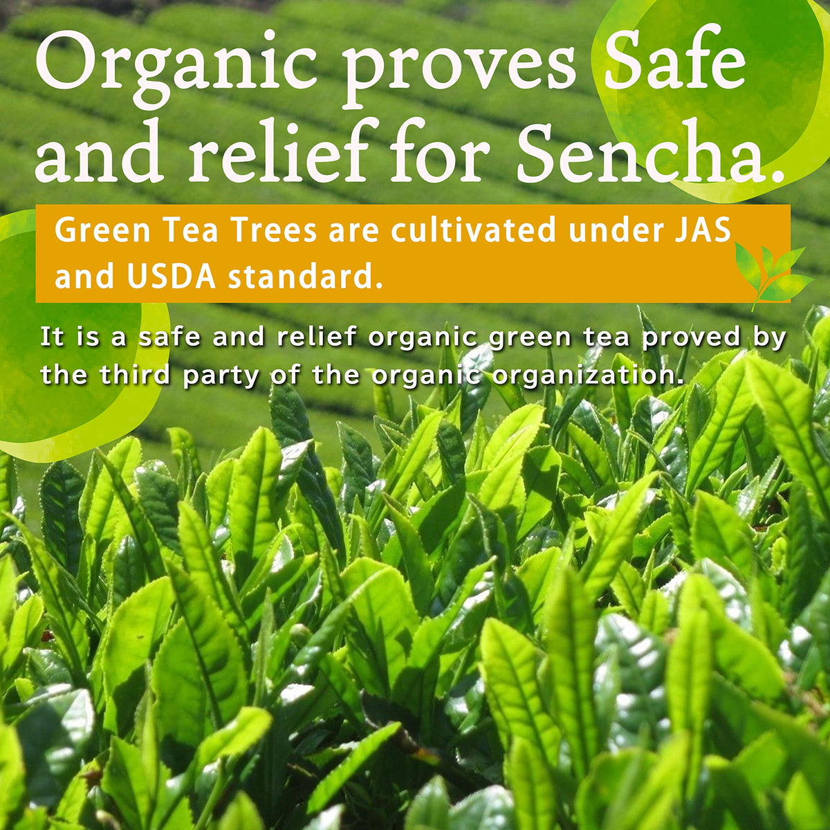 YAMASAN KYOTO UJI Organic Sencha Green Tea Instant Powder - 2.82oz - image 3