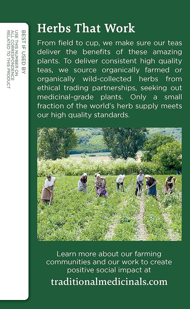 Traditional Medicinals Organic Nettle Leaf Herbal Tea - 32 Tea Bags - image 3