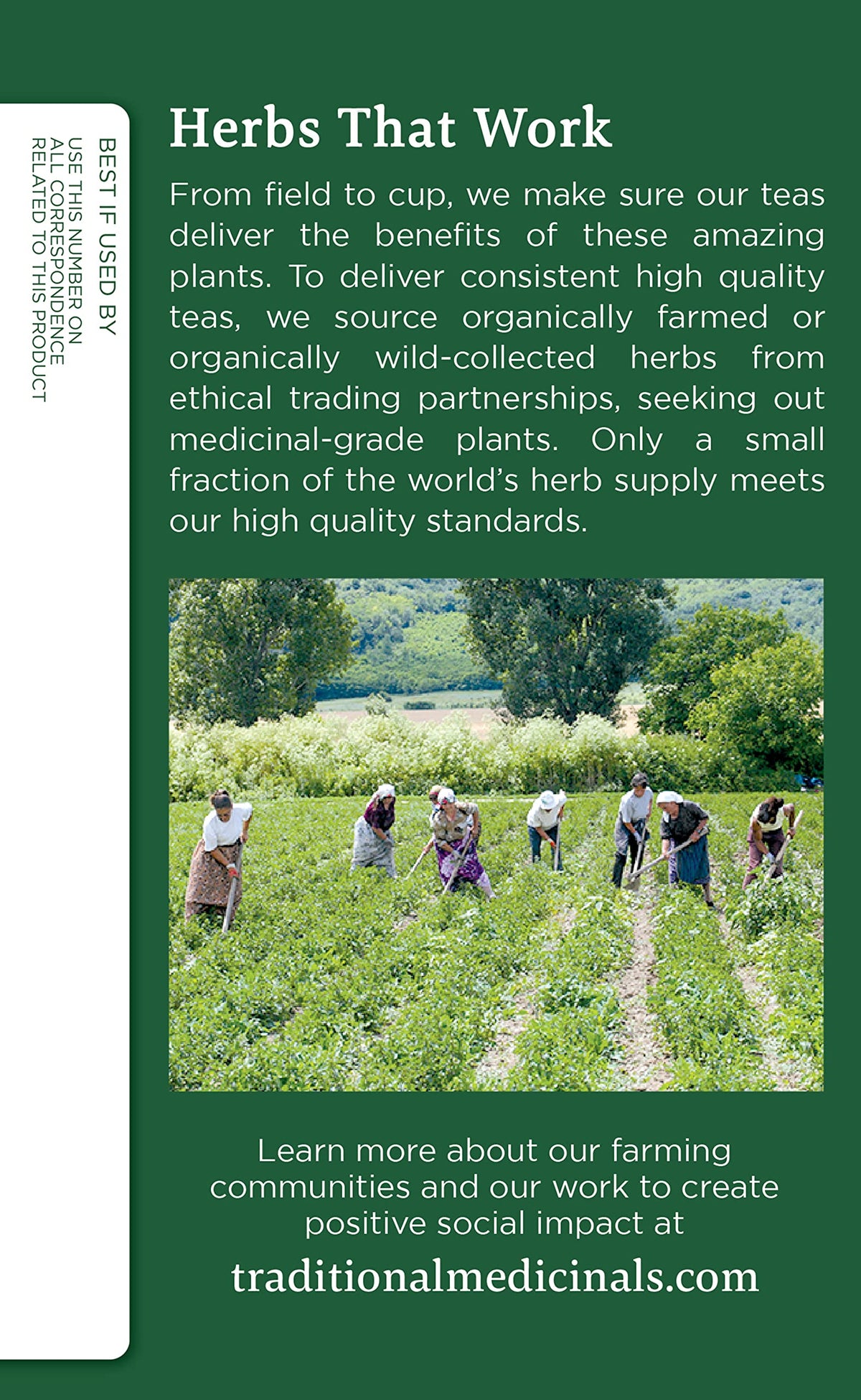 Traditional Medicinals Organic Nettle Leaf Herbal Tea - 32 Tea Bags - image 3