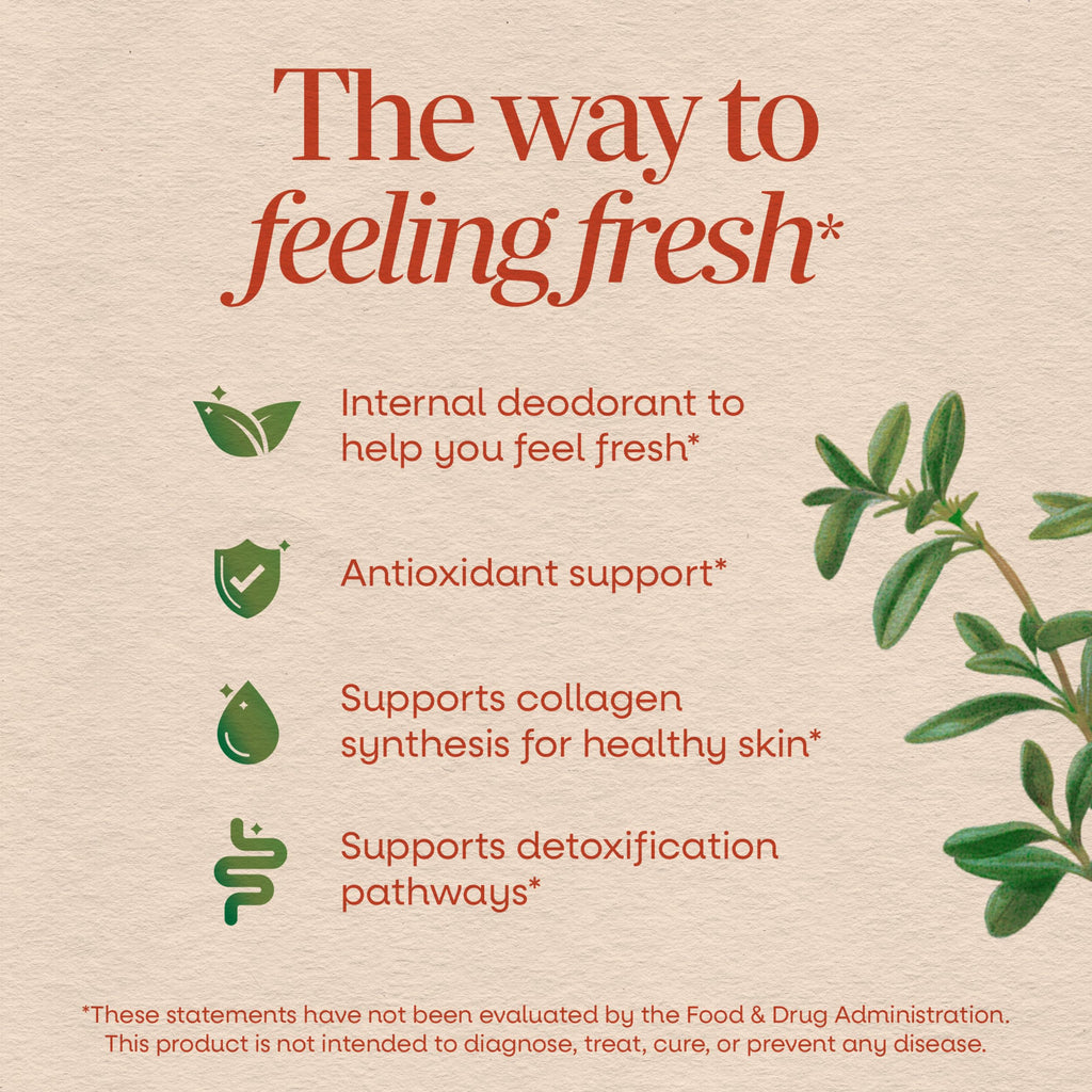 Nature's Way Chlorofresh Liquid Chlorophyll Internal Deodorant - 16 fl oz - image 3