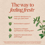 Nature's Way Chlorofresh Liquid Chlorophyll Internal Deodorant - 16 fl oz - image 3
