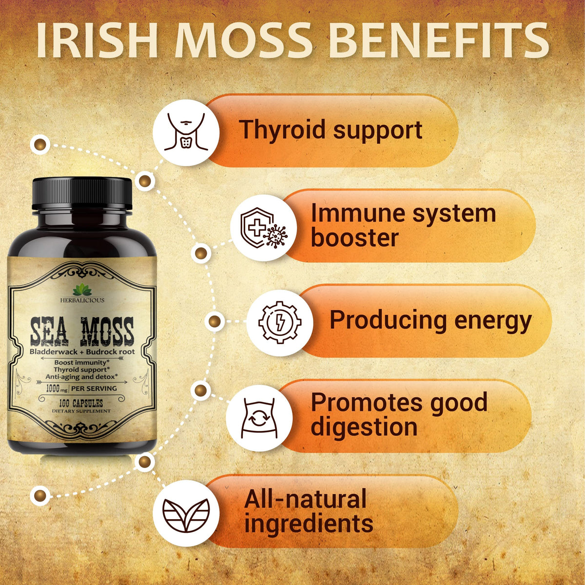 HERBALICIOUS Sea Moss Capsules with Bladderwrack & Burdock Root - 100 Capsules - image 3