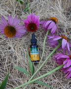 Herb Pharm Super Echinacea Liquid Extract Immune Support - 1 oz - image 8