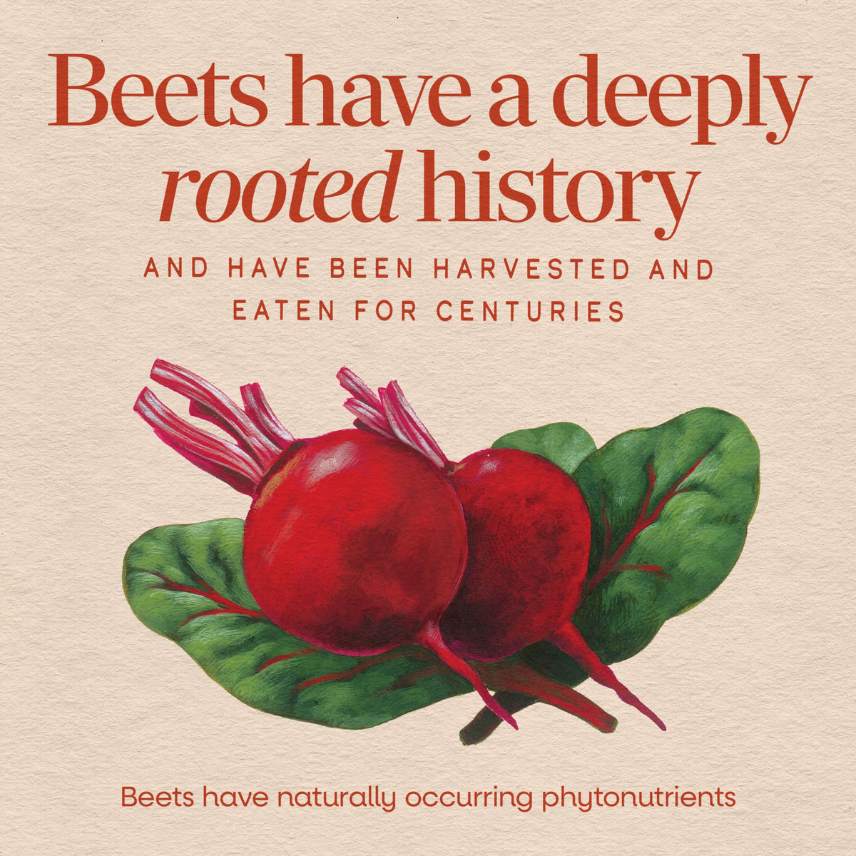 Nature's Way Beet Root Capsules for Antioxidant Support - 100 Capsules - image 3