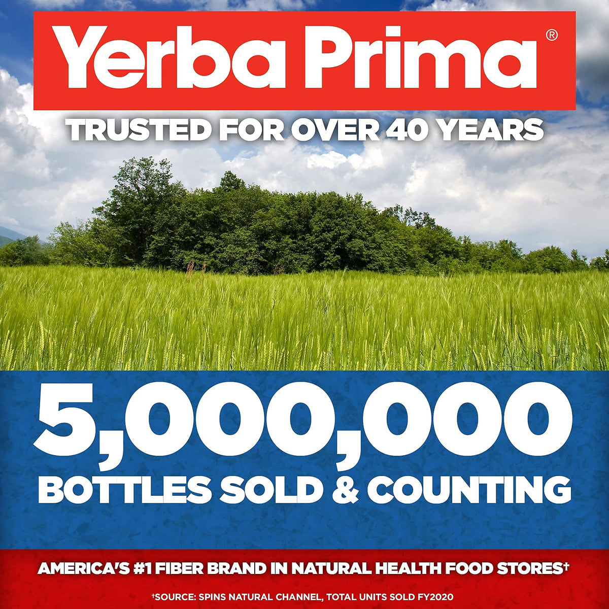 Yerba Prima Organic Psyllium Whole Husks Colon Cleanser - 20 oz - image 7