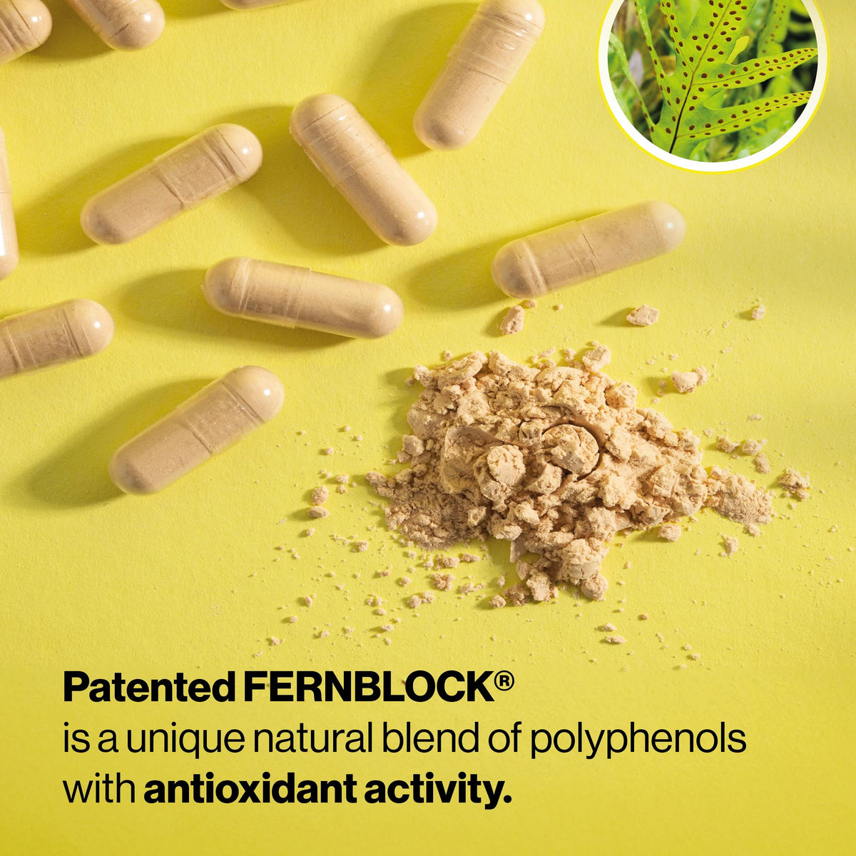 Heliocare Polypodium Leucotomos Extract 240mg - 60 Capsules - image 5