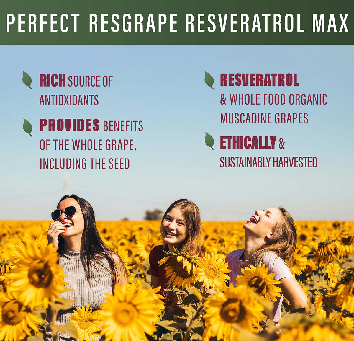 Perfect Supplements ResGrape Resveratrol MAX - 60 Capsules - image 4