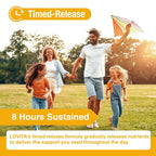 LOVITA Sustained-Release Vitamin B12 1000 mcg (as Cyanocobalamin)