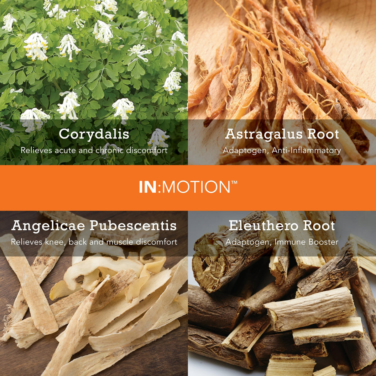 INTotalWellness in:Motion Natural Herbal Formula - 20 Servings - image 5