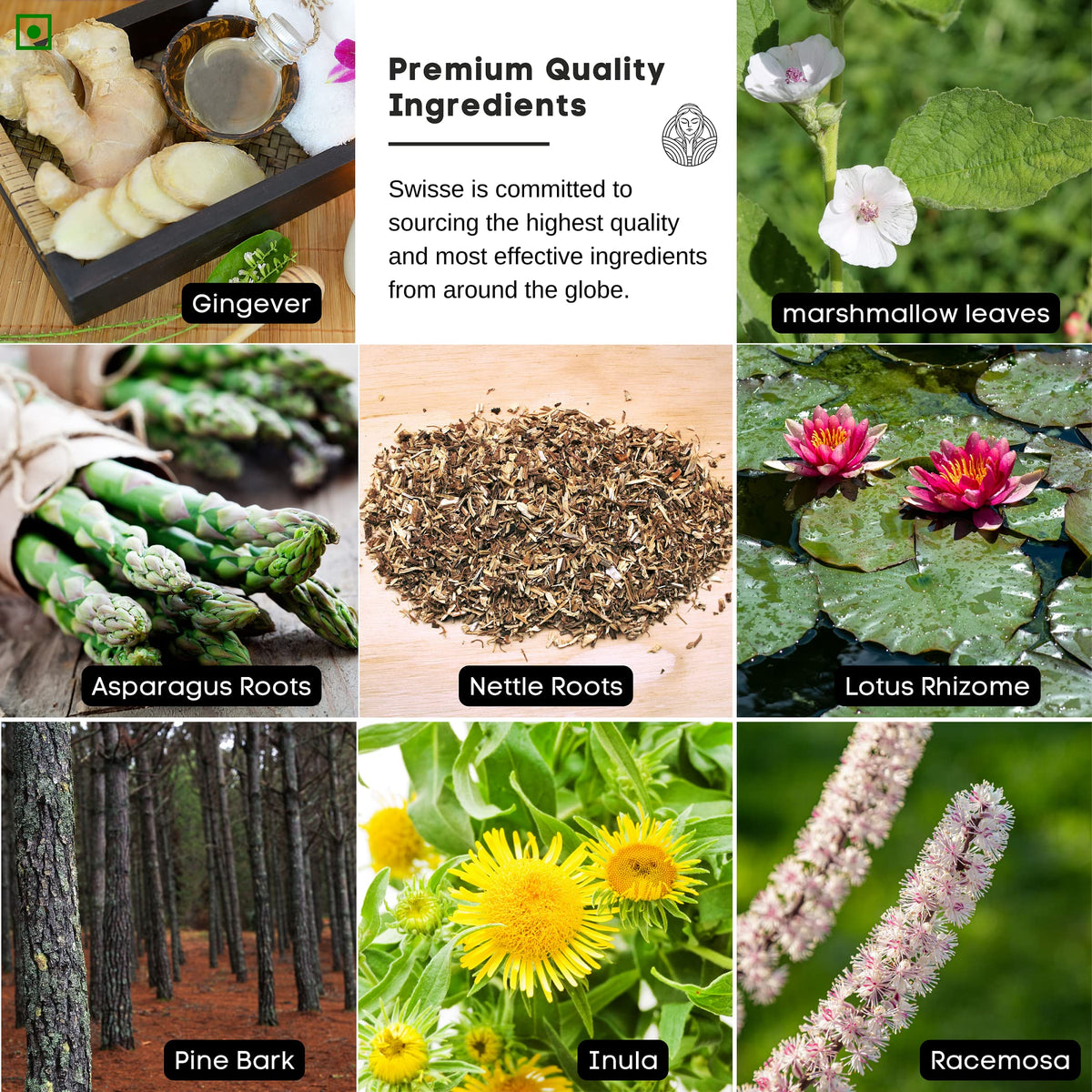 The Old Natural 19 in 1 Lungs Detox for Smokers & Pollution 60 Veg - image 5