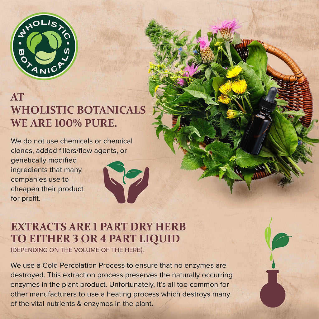 Wholistic Botanicals Herbal C Capsule Vitamin C - 100 Capsules - image 5