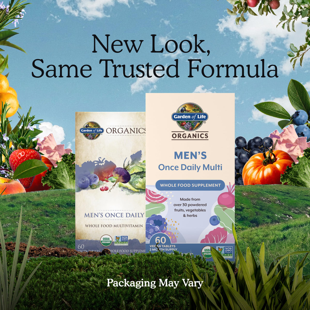 Garden of Life Once Daily Whole Food Multivitamin for Men