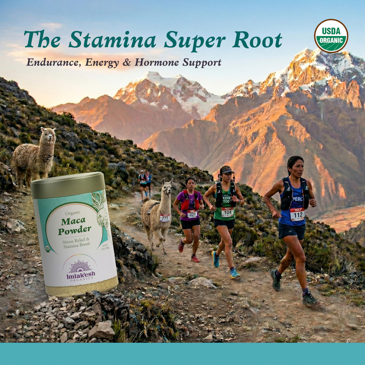 Imlak'esh Organics Maca Root Powder Energy & Hormone Balance - 10oz - image 2