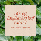 Nature's Way English Ivy Extract Respiratory Support - 90 Tablets - image 4