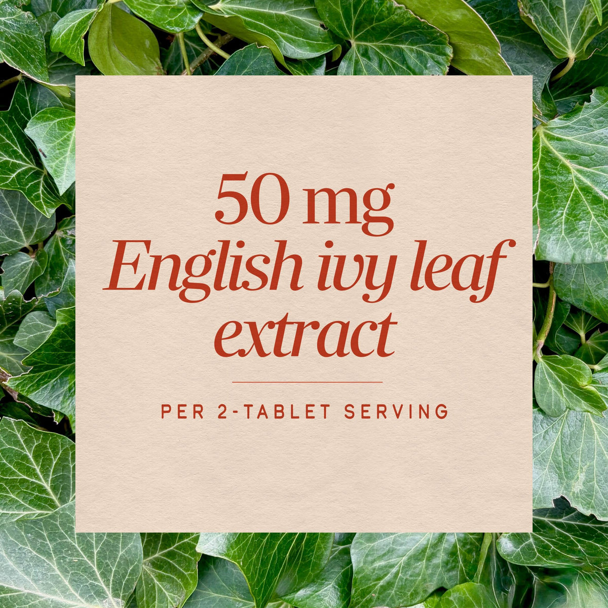 Nature's Way English Ivy Extract Respiratory Support - 90 Tablets - image 4