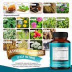 Aumeto Sea Moss Plus 18-in-1 with Black Seed & Bladderwrack - 150 Capsules - image 3