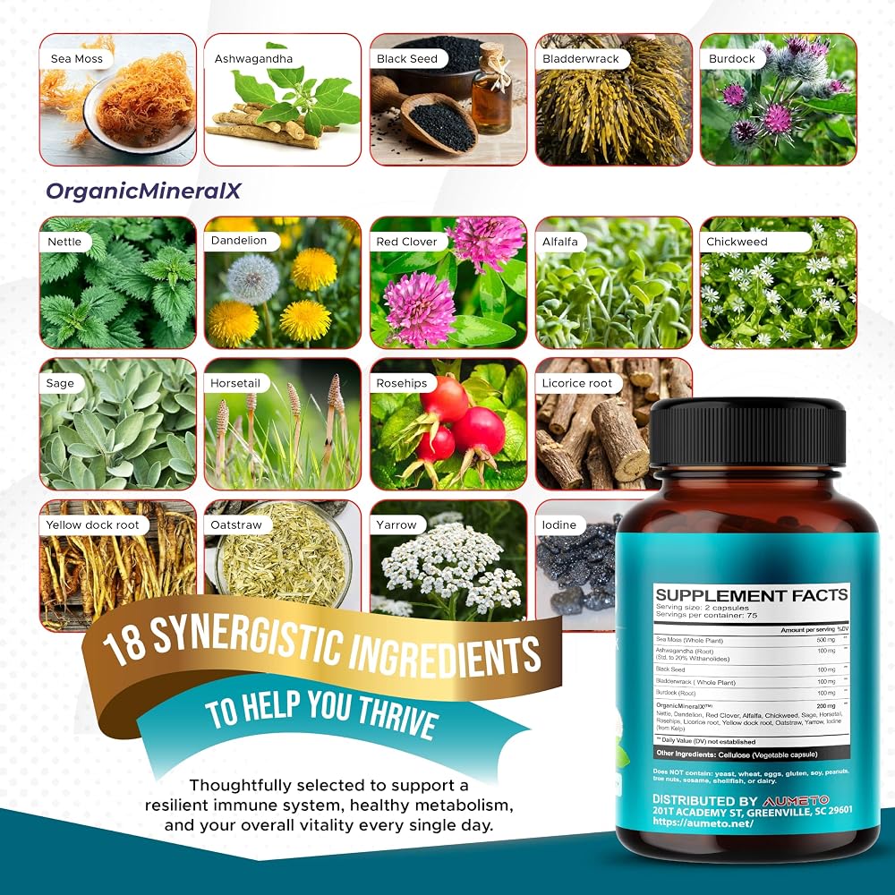 Aumeto Sea Moss Plus 18-in-1 with Black Seed & Bladderwrack - 150 Capsules - image 3