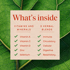 Nature's Way Systemwell Ultimate Immunity Multi-System Defense