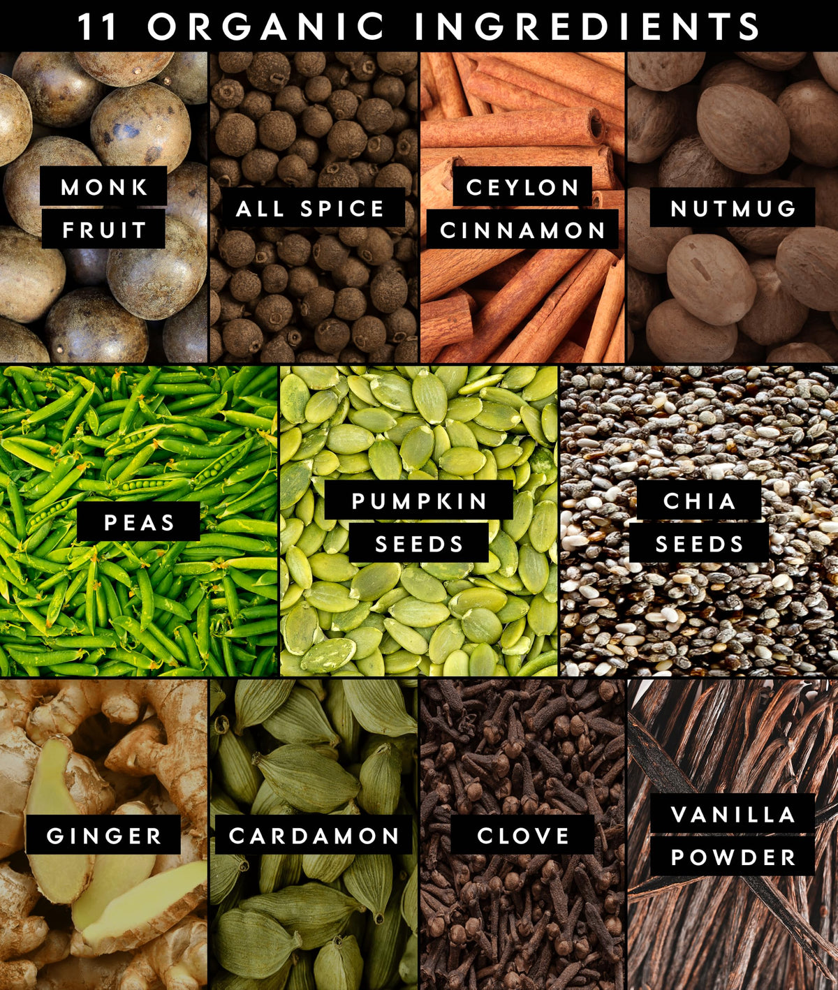 Truvani Organic Plant Based Protein Powder