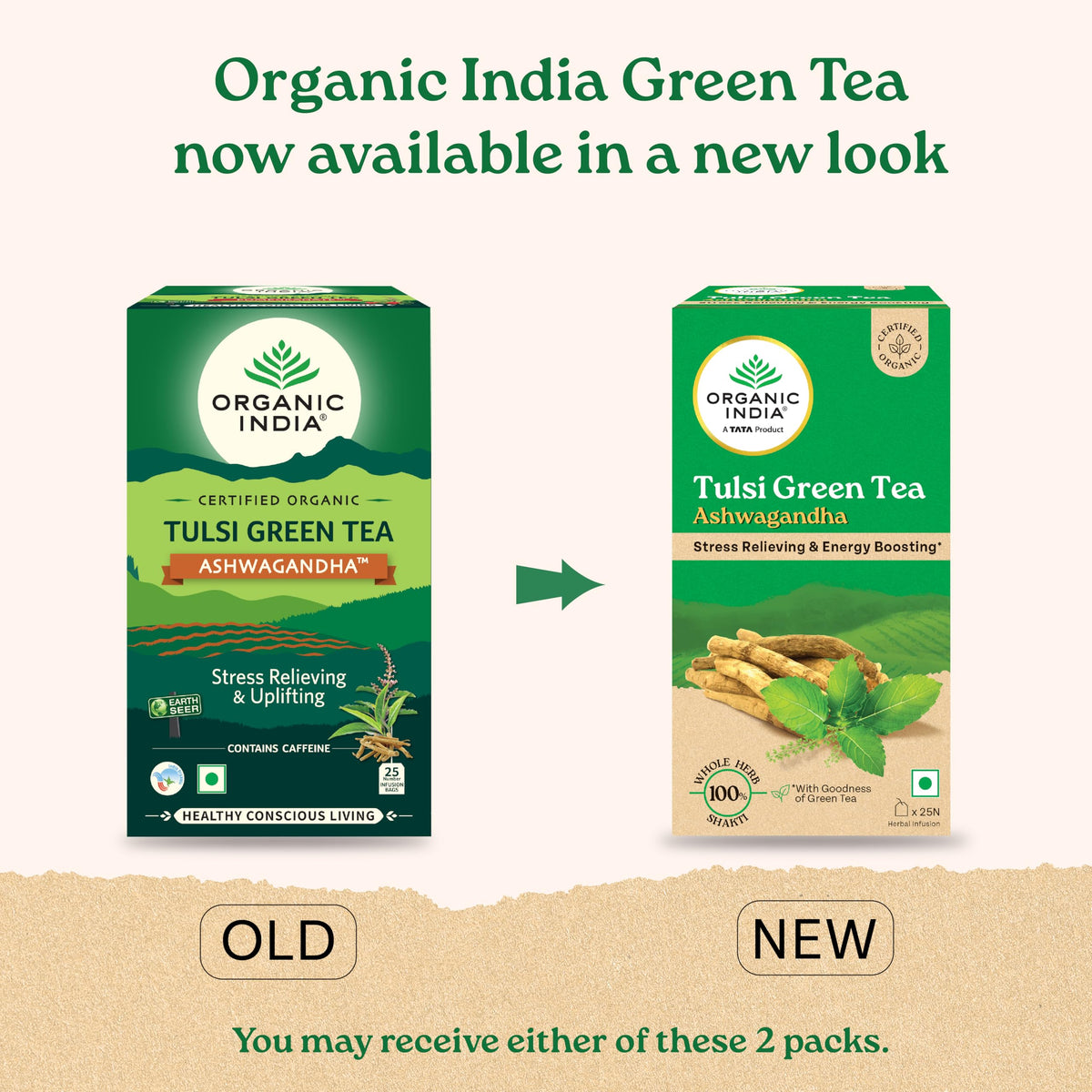 Organic India Tulsi Green Tea with Ashwagandha - 25 Tea Bags - image 2