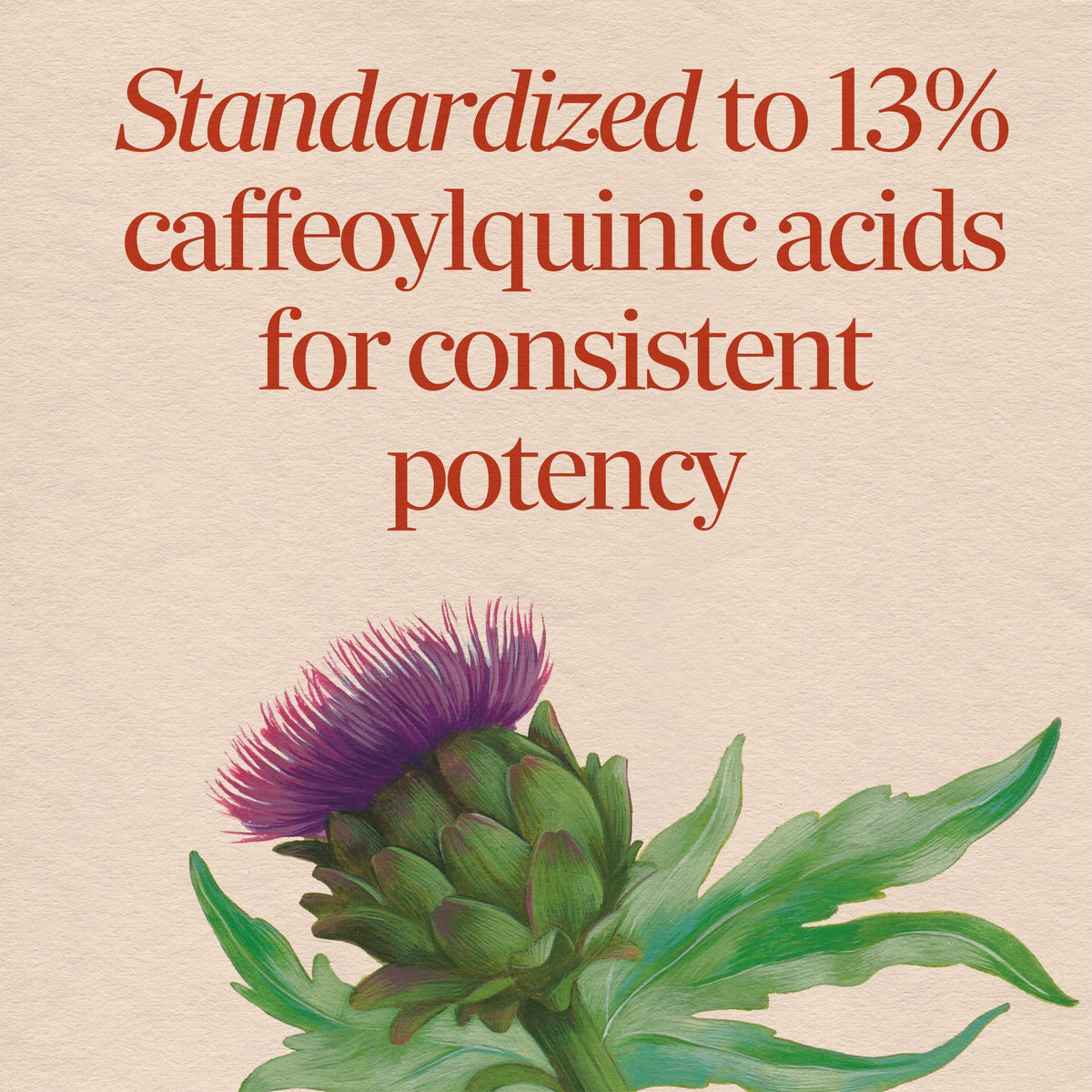Nature's Way Artichoke Digestion Support Standardized Extract - 60 Capsules - image 3
